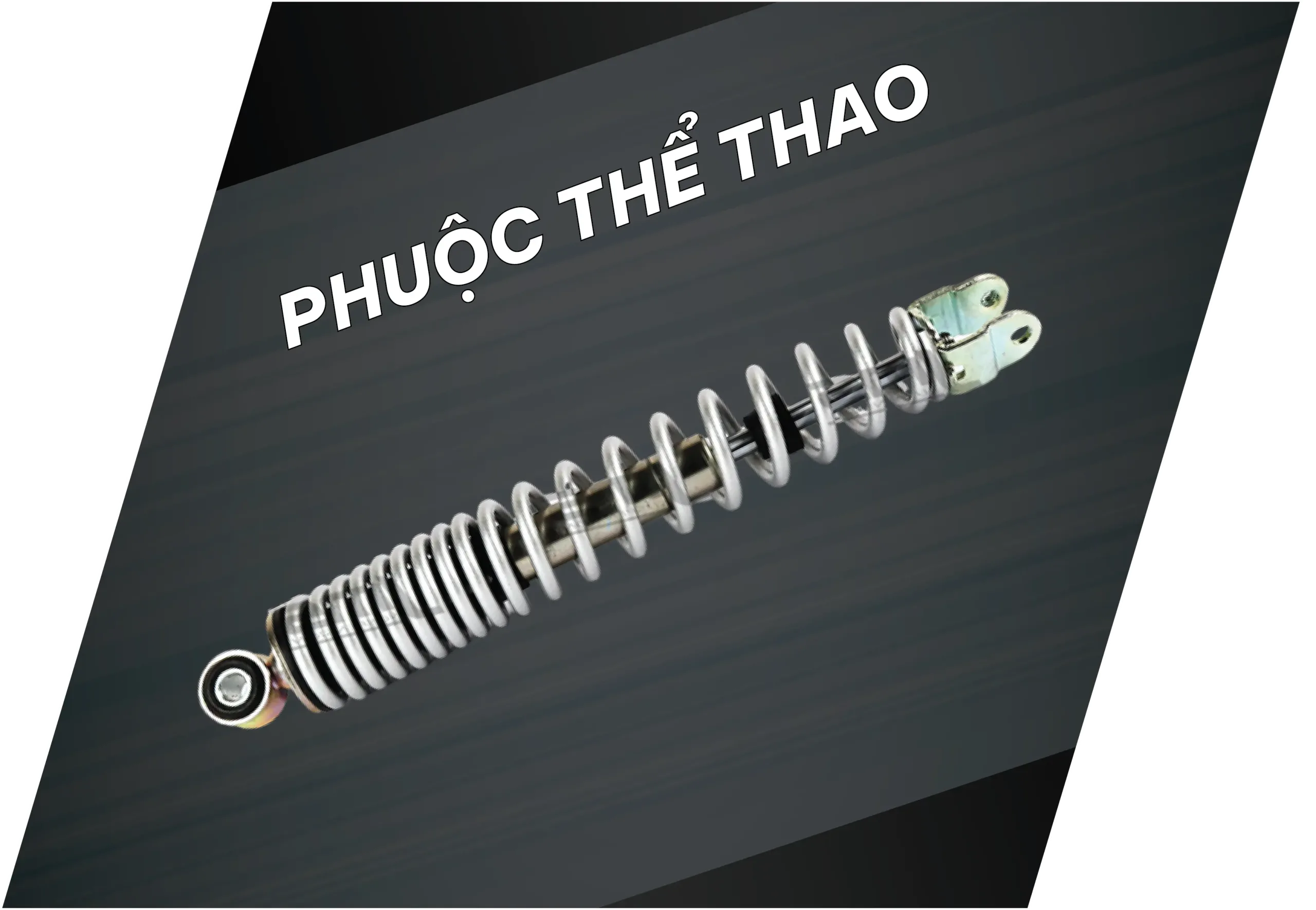 Trang chủ